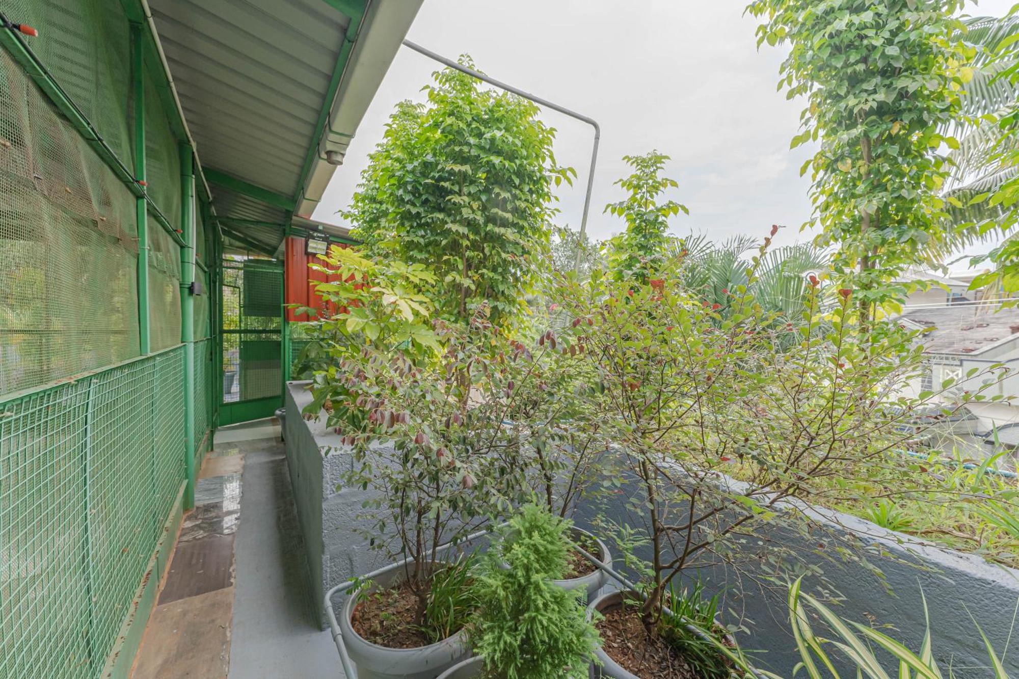 Udupi Homestay Garden Villa Екстер'єр фото